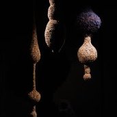 © Aline Chapperon / Lillico