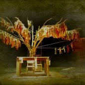 Peau d'Arbre 1
