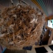 © Elio Athimon / Zabris en PMI - Résidence Hisse et Oh à La Courneuve (...)