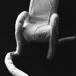 ZASSISES