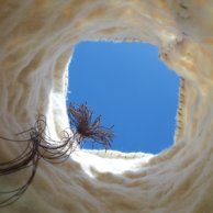 Sous un ciel bleu sans nuage