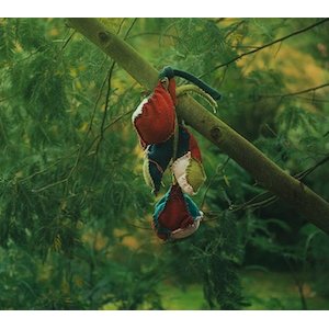 Zarbadoudou