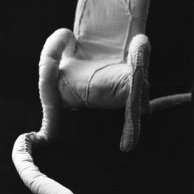 ZASSISES