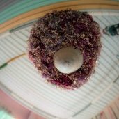 © Elio Athimon / Zabris en PMI - Résidence Hisse et Oh à La Courneuve (...)